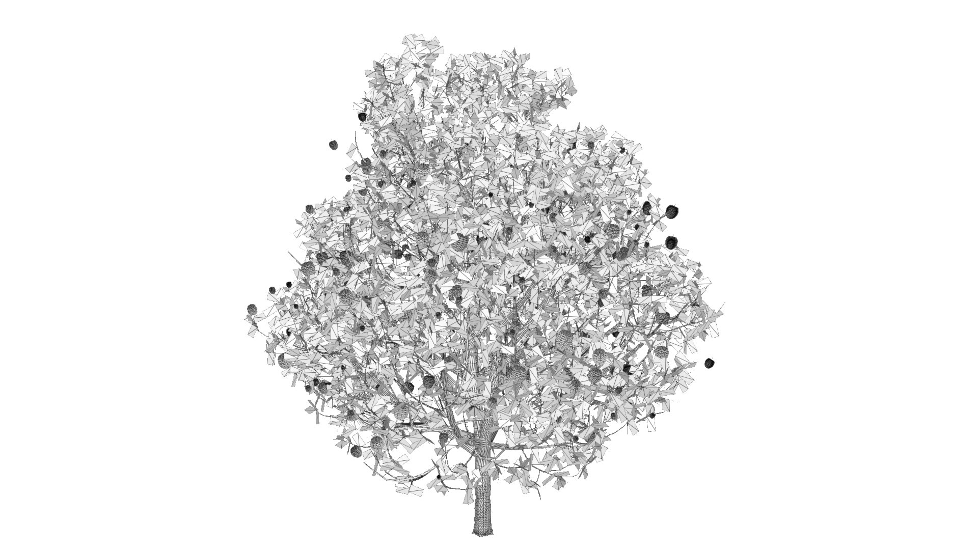 3D diospyros hight https://p.turbosquid.com/ts-thumb/tK/Wgi6D4/2HqR9u6L/images/jpg/1600373543/1920x1080/fit_q87/15b5dd6197e8904b632c04282aa7d060b7165456/images.jpg
