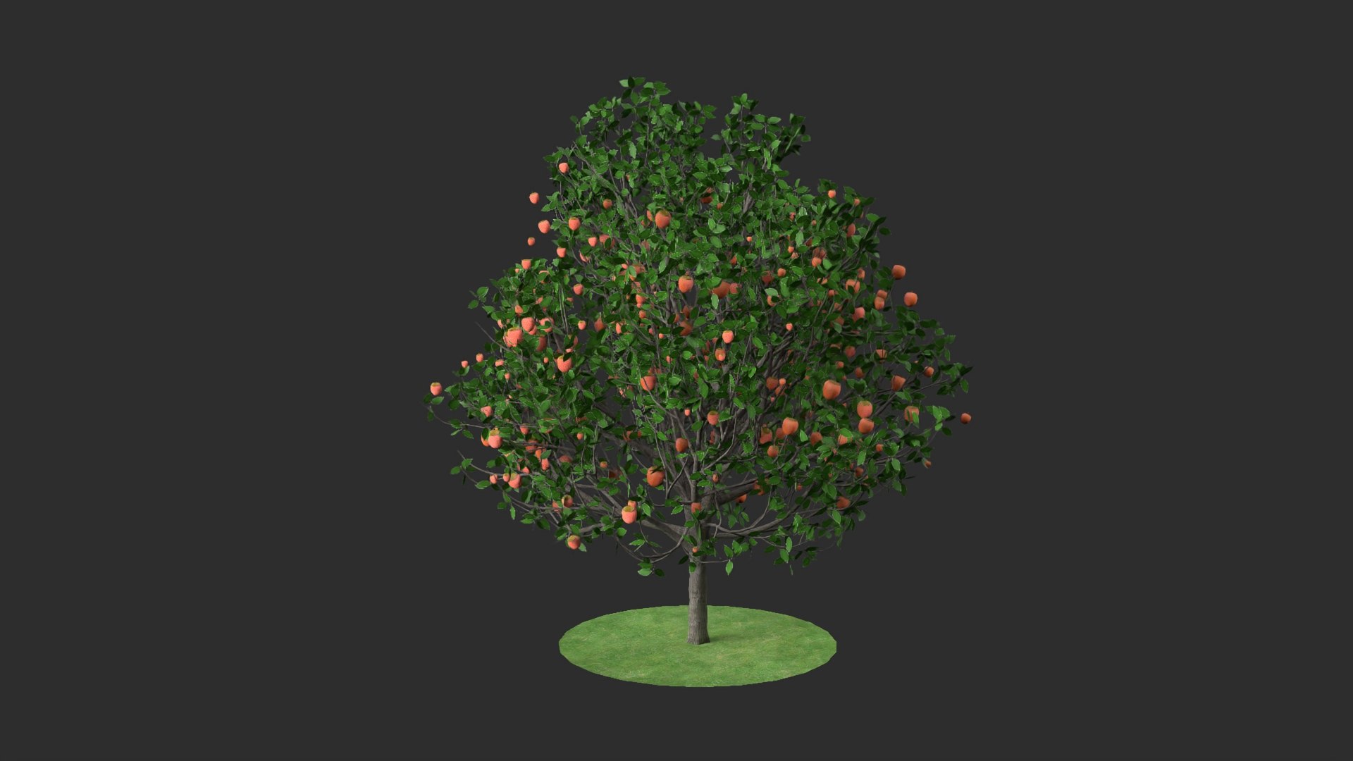 3D diospyros hight https://p.turbosquid.com/ts-thumb/tK/Wgi6D4/NflzypsT/2/jpg/1600373597/1920x1080/fit_q87/e595bb2e084593cdfc426a831422fe6574be5707/2.jpg