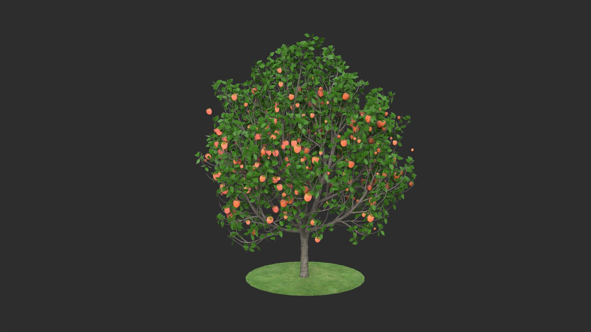 3D diospyros hight https://p.turbosquid.com/ts-thumb/tK/Wgi6D4/Pk1xXAcw/12/jpg/1600373628/1920x1080/fit_q87/e5b6117b2c54503cf583e0f6111137a38e9f3406/12.jpg