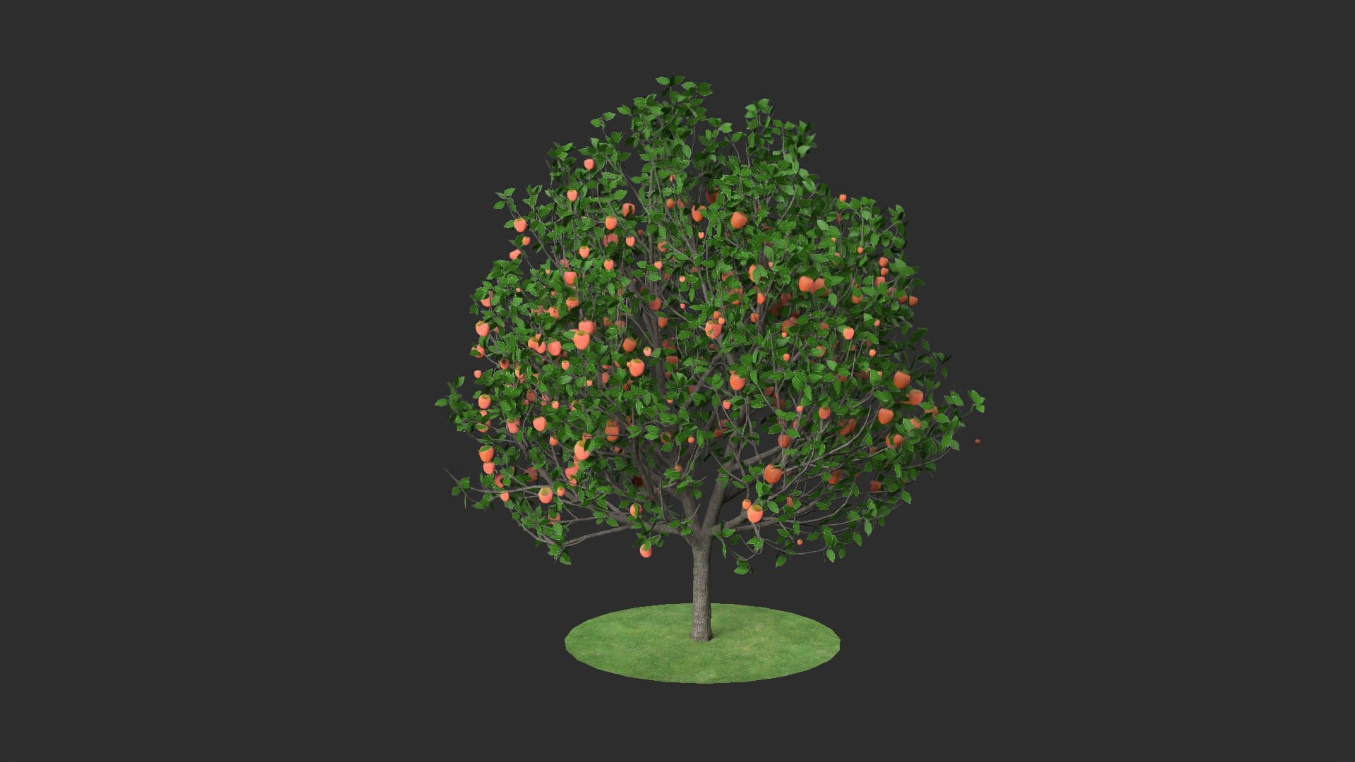 3D diospyros hight https://p.turbosquid.com/ts-thumb/tK/Wgi6D4/eb9lv8ma/1/jpg/1600373585/1920x1080/fit_q87/74e4ce1e4cc00049295be61348edc5bd2c5eeb3a/1.jpg