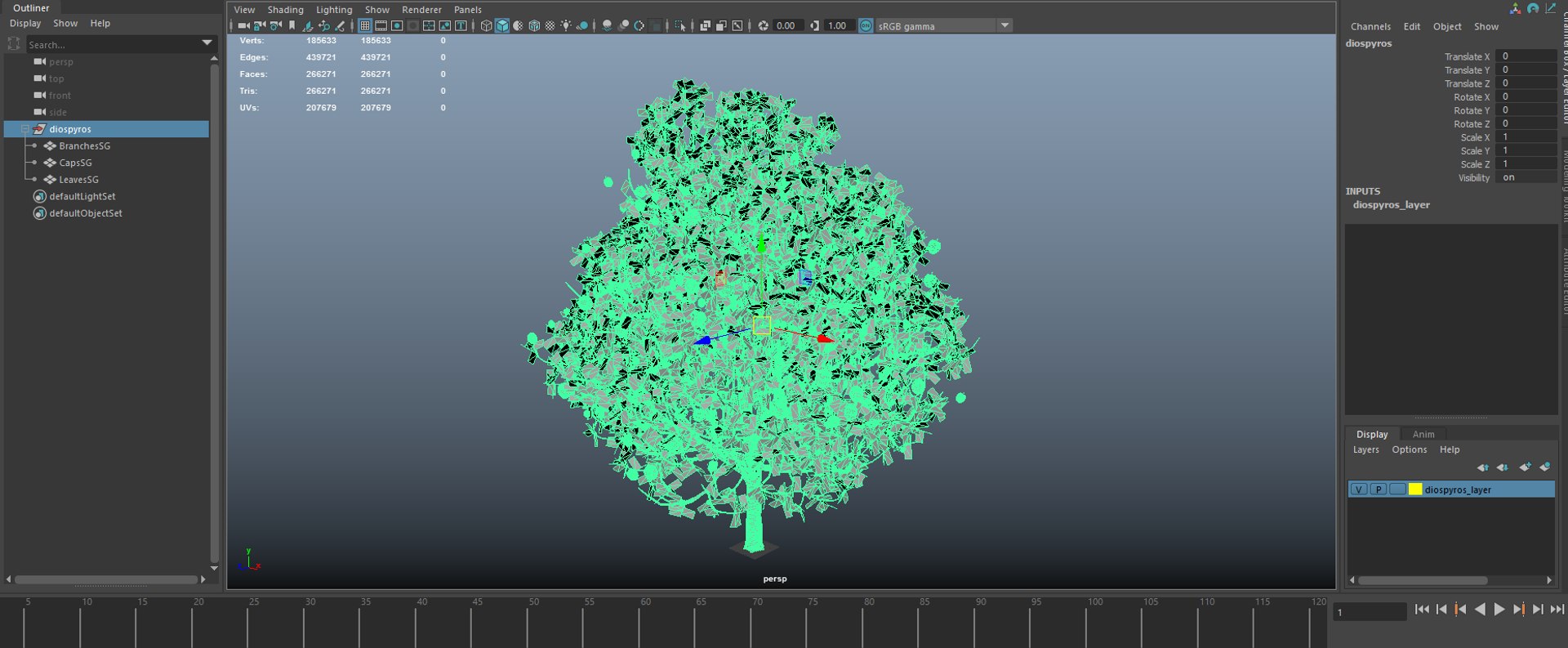 3D diospyros hight https://p.turbosquid.com/ts-thumb/tK/Wgi6D4/yAcWTTkL/ekranalnts/png/1600373491/1920x1080/fit_q87/80cb6464eb80fc993d6a1282a8077868208be103/ekranalnts.jpg