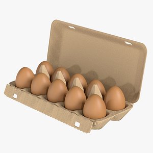 Egg Tray with Eggs