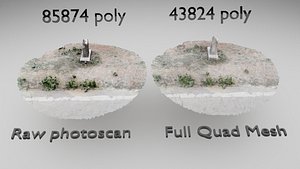 Roadside photoscans
