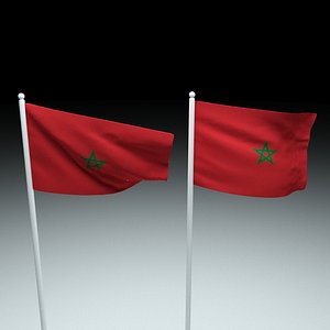 3D model flag morocco
