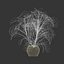 モンステラ デリシオサ植物 3D モデル 508