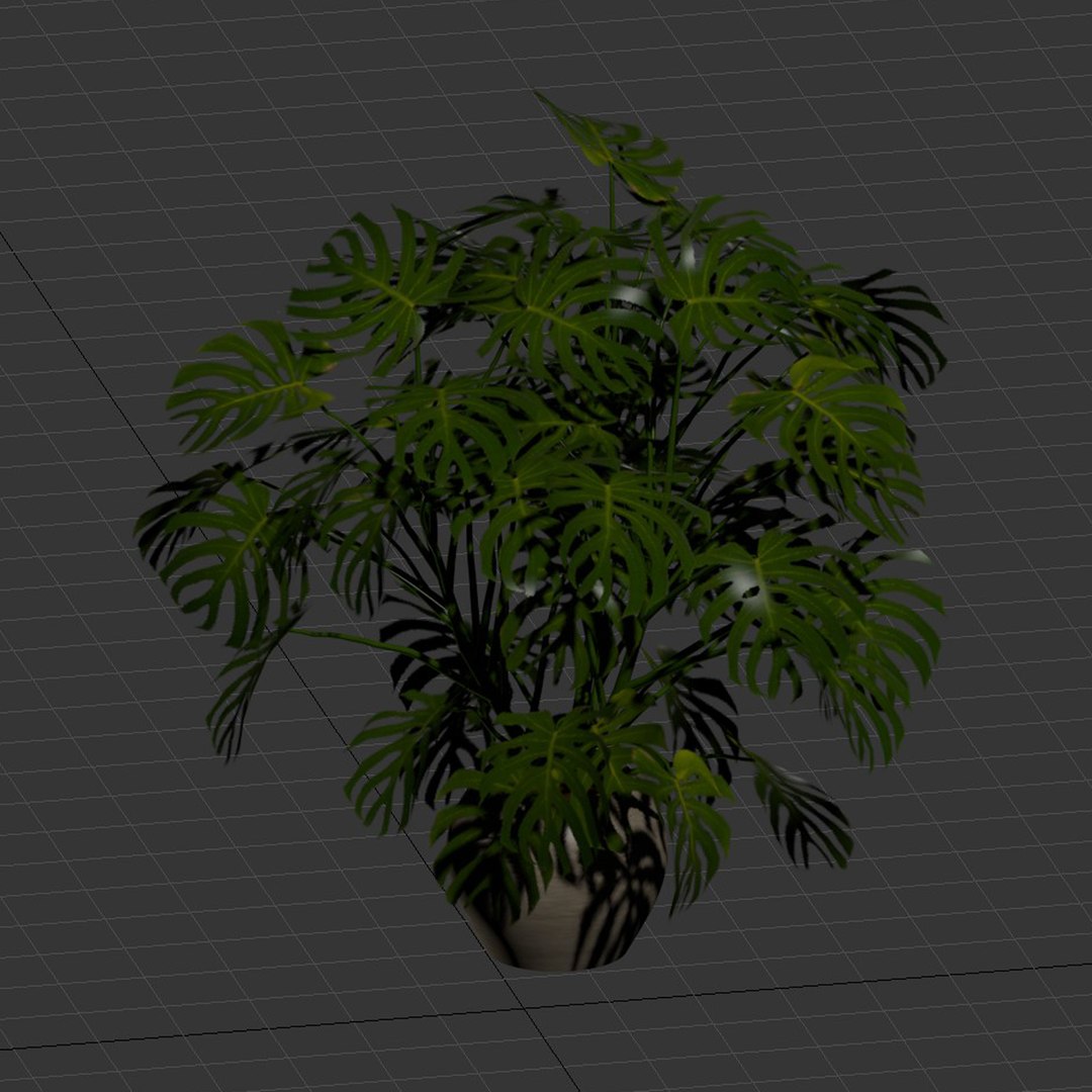 3D Monstera deliciosa Plants 3D Model 508 model https://p.turbosquid.com/ts-thumb/tL/I49G6r/X6/5/jpg/1782934670/1920x1080/fit_q87/595ffd560e5171cd51eabf02293bf14a3fed1fbd/5.jpg