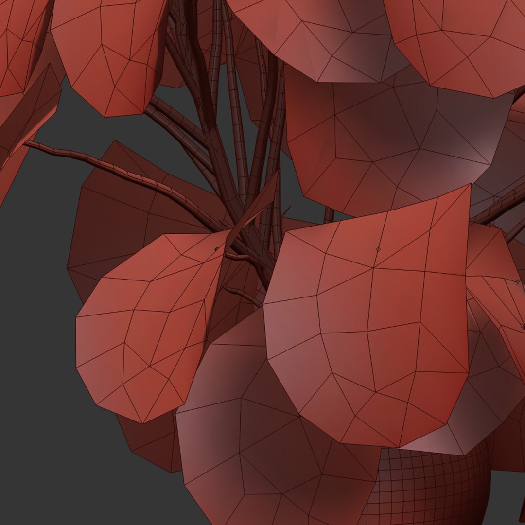 3D Monstera deliciosa Plants 3D Model 508 model https://p.turbosquid.com/ts-thumb/tL/I49G6r/rl/6/jpg/1782934672/1920x1080/fit_q87/1b2f42f6fca1e69f48f3b16bac85aa494bf2b86f/6.jpg