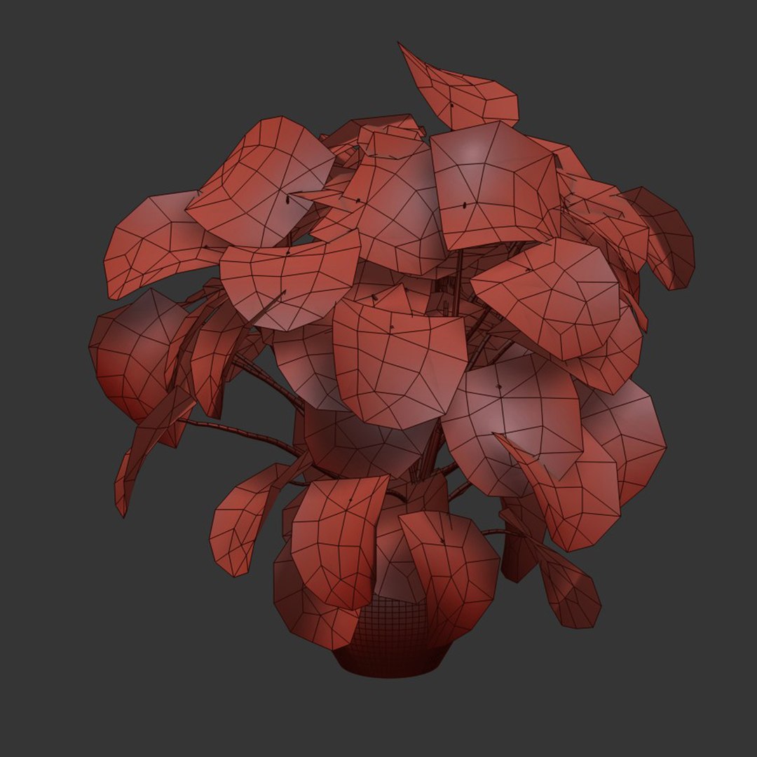 3D Monstera deliciosa Plants 3D Model 508 model https://p.turbosquid.com/ts-thumb/tL/I49G6r/tt/4/jpg/1782934668/1920x1080/fit_q87/cf895c4f04c11952f40cf383e4f2400cea033963/4.jpg