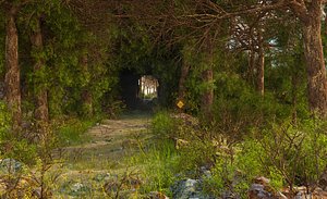 Forest Tunnel Environment