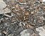 Industrial Debris Ground