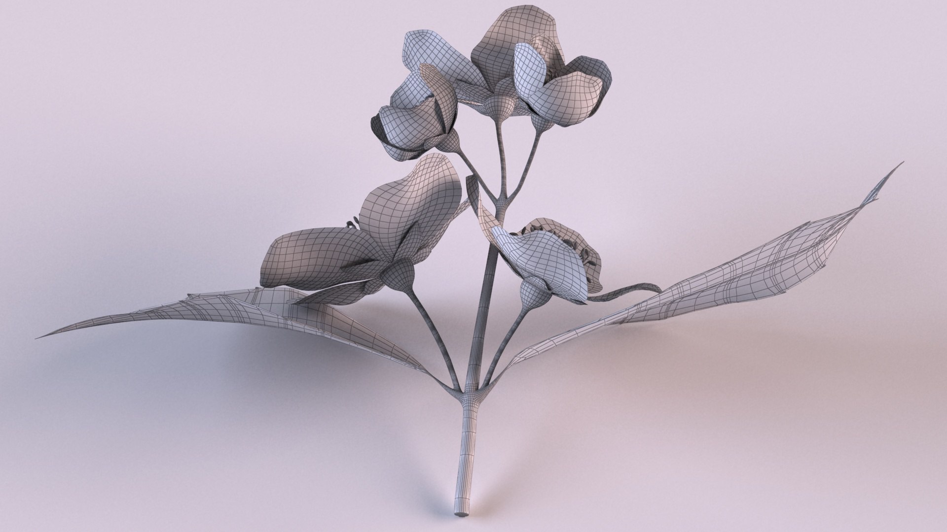 Jasmine sprig with flowers 3D model https://p.turbosquid.com/ts-thumb/tL/Waj1UK/Sr/9/png/1648639798/1920x1080/fit_q87/980e19428b0a259e10f1e972d8cc32996f1524e2/9.jpg
