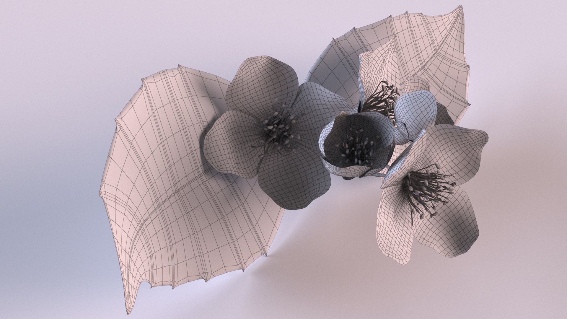 Jasmine sprig with flowers 3D model https://p.turbosquid.com/ts-thumb/tL/Waj1UK/i3/11/png/1648639814/1920x1080/fit_q87/b0dc649d31bc298d4880b6bfe510d7c5826fcee6/11.jpg
