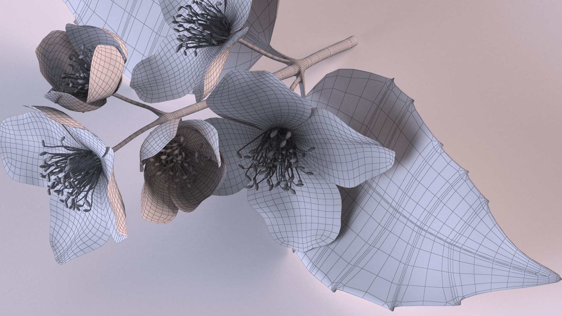 Jasmine sprig with flowers 3D model https://p.turbosquid.com/ts-thumb/tL/Waj1UK/wG/15/png/1648639896/1920x1080/fit_q87/22e8839dbe795237ac234f865b31abb1afa4d189/15.jpg