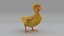 Duck Duckling  FUR ANIMATED 3D model