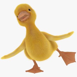 Duck Duckling  FUR ANIMATED 3D model