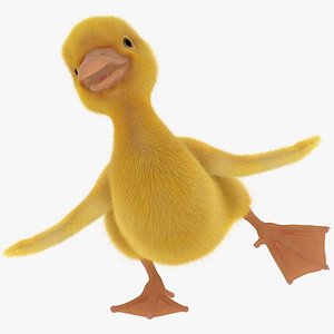 Duck Duckling  FUR ANIMATED Facial Blend Shapes