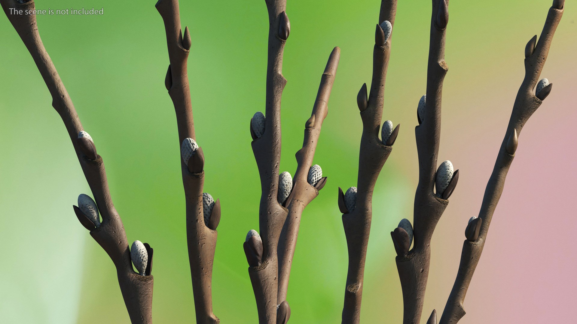 Dry Willow Branches in Vase 3D model https://p.turbosquid.com/ts-thumb/tL/Zas9Y4/EY/dry_willow_branches_in_vase_005/jpg/1745045681/1920x1080/fit_q87/34ae2b7aea6598dde16ae6d52b32771e42cf7897/dry_willow_branches_in_vase_005.jpg
