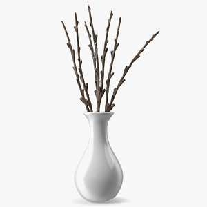 Dry Willow Branches in Vase 3D model