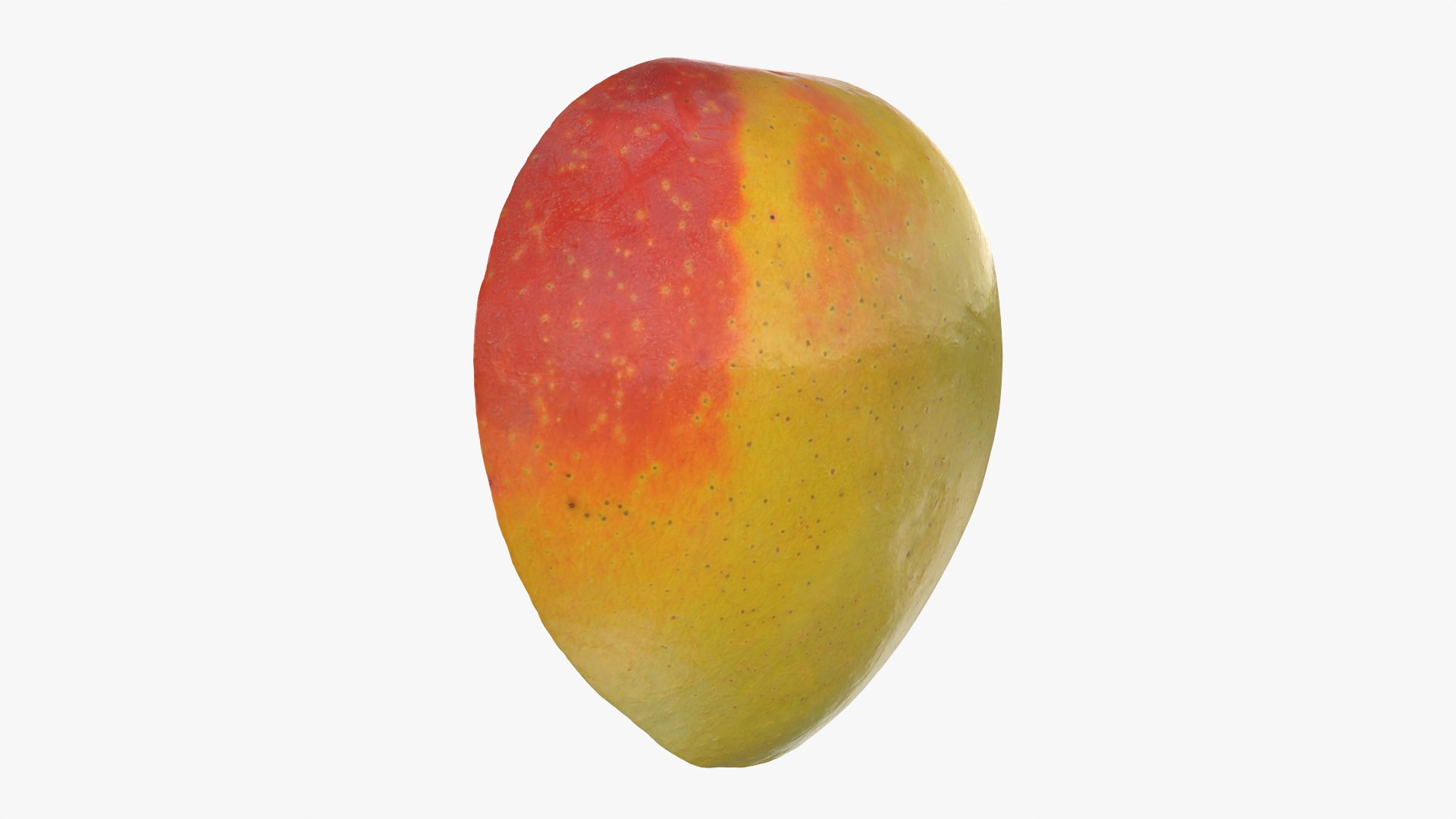Mango 01 Half 2 3D model https://p.turbosquid.com/ts-thumb/tL/ZusJ8m/EP/mango01cut2_0012/png/1751386229/1920x1080/fit_q87/c7ba833e365be9861e723ed7423a084179774504/mango01cut2_0012.jpg