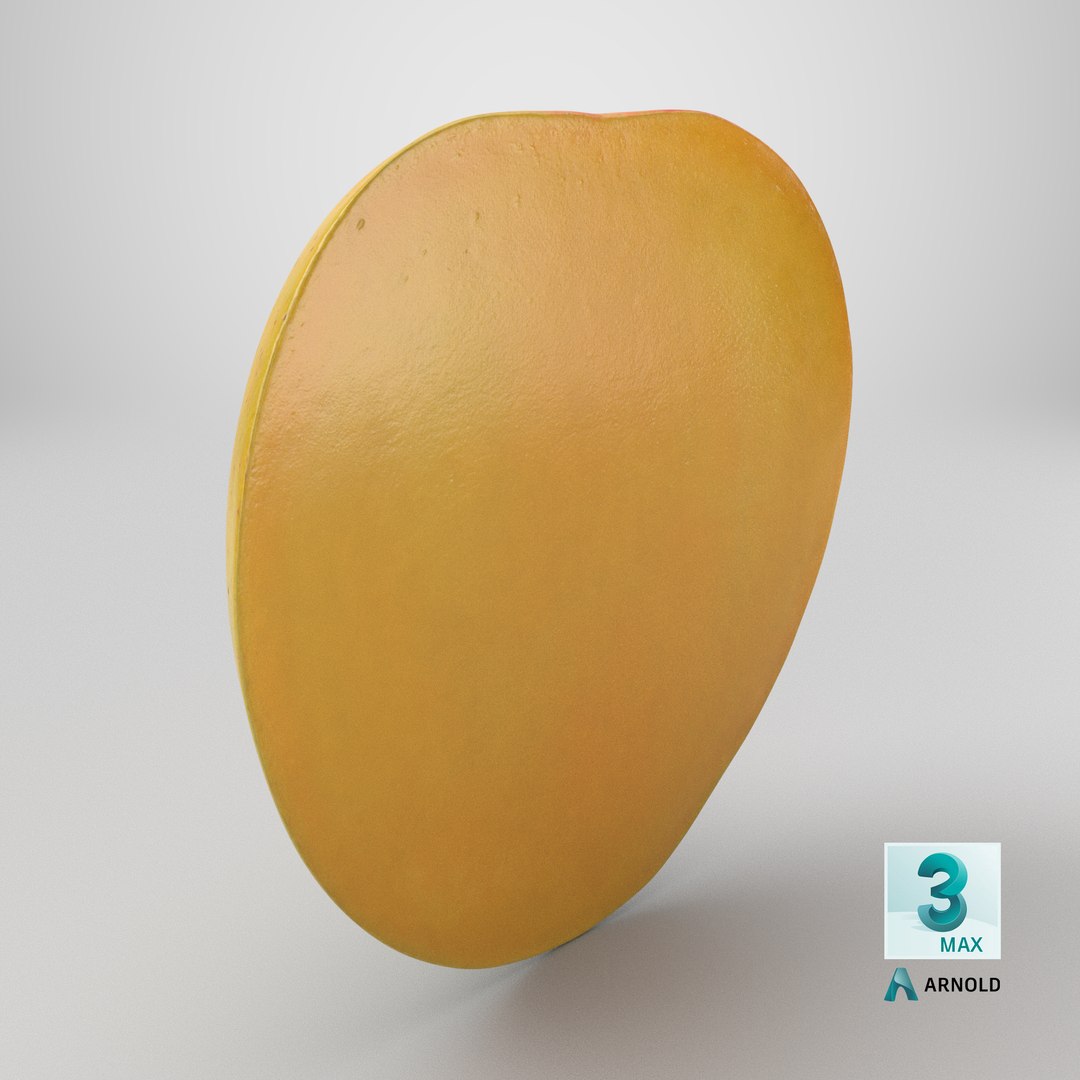 Mango 01 Half 2 3D model https://p.turbosquid.com/ts-thumb/tL/ZusJ8m/oX/stemcell_max_arnold_render/png/1752222272/1920x1080/fit_q87/58534cd0b61b636aa8c8faf4e26bfb48c9bd8a88/stemcell_max_arnold_render.jpg