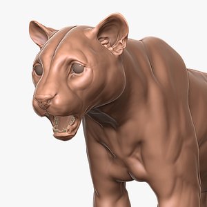 Clouded Leopard Primary Forms Zbrush Sculpt model