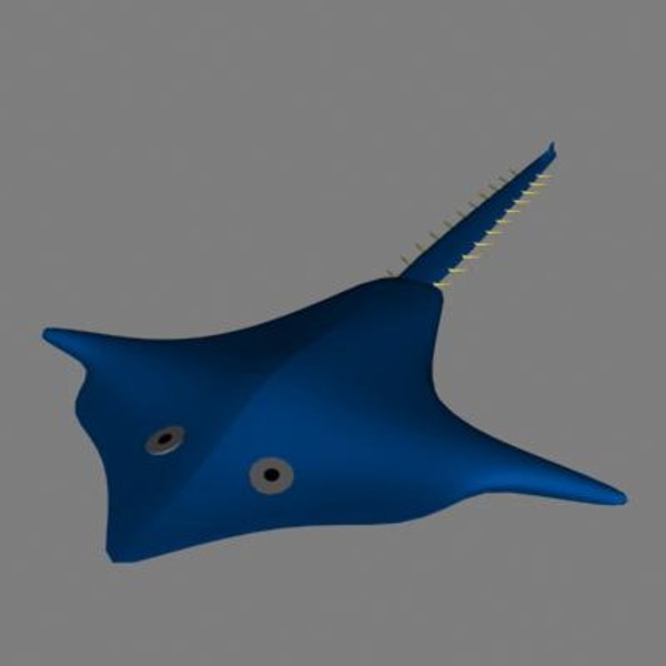 Manta Ray 3D Models for Download | TurboSquid