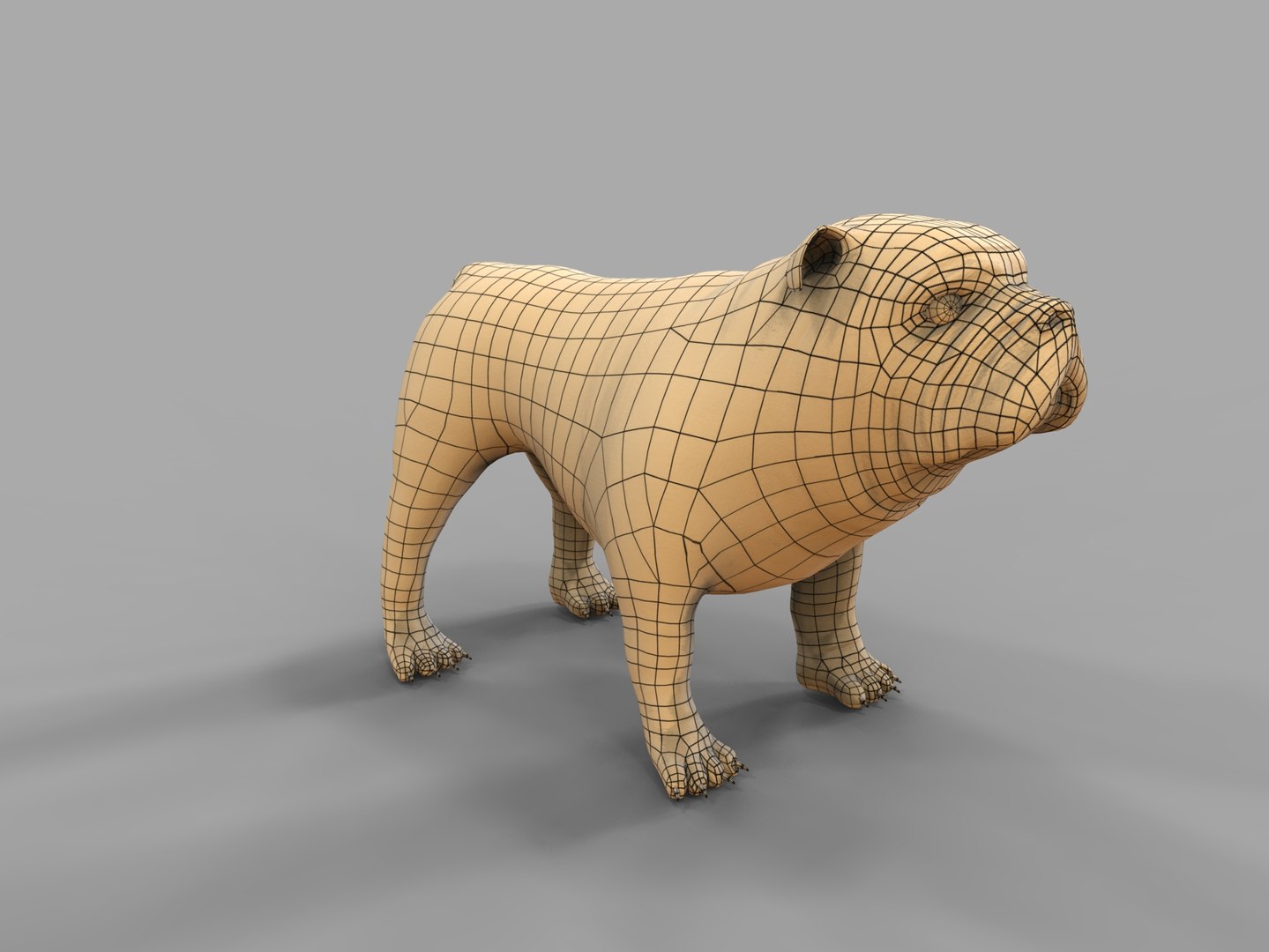 3d model bulldog rigged https://p.turbosquid.com/ts-thumb/tL/x9SkIO/GVVp4K4e/dog031.56/jpg/1485584371/1920x1080/fit_q87/513483cb2ffcae81105124d8758d31eaa99533ba/dog031.56.jpg