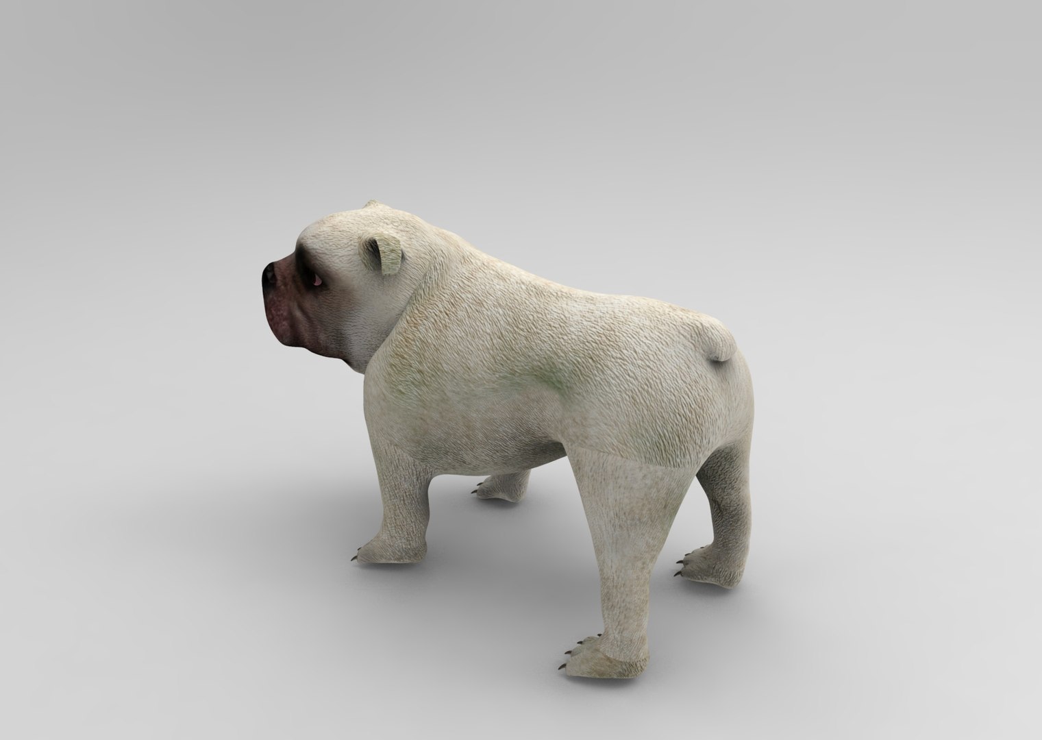 3d model bulldog rigged https://p.turbosquid.com/ts-thumb/tL/x9SkIO/j1ST5XIE/untitled.1026/jpg/1485584354/1920x1080/fit_q87/767191a94e355c4ea4bf3df0d50e886fdb5a4eaa/untitled.1026.jpg