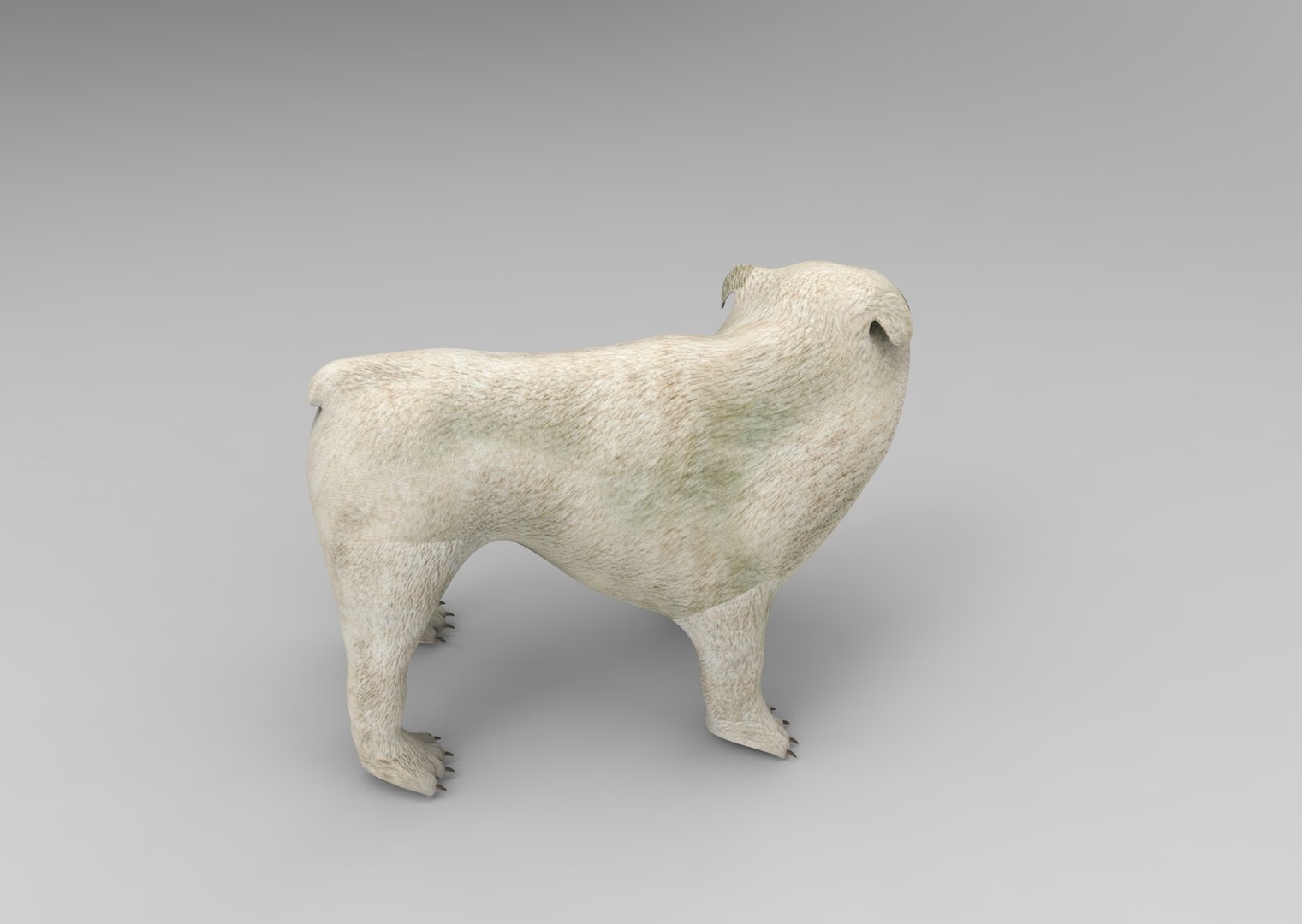3d model bulldog rigged https://p.turbosquid.com/ts-thumb/tL/x9SkIO/mRSGUuzp/untitled.1028/jpg/1485584354/1920x1080/fit_q87/b9d07e84fad59556fbb2bab4489a8268daf64bc6/untitled.1028.jpg