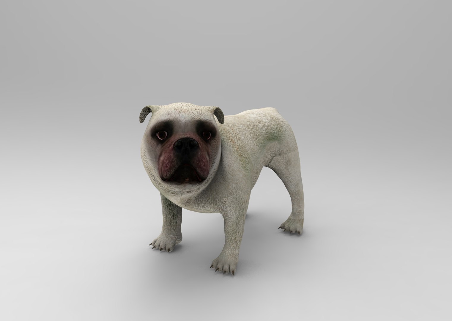 3d model bulldog rigged https://p.turbosquid.com/ts-thumb/tL/x9SkIO/ukTxrUQX/untitled.1031/jpg/1485584354/1920x1080/fit_q87/664649111dd257583da1df1561032c8a1fc6c43f/untitled.1031.jpg
