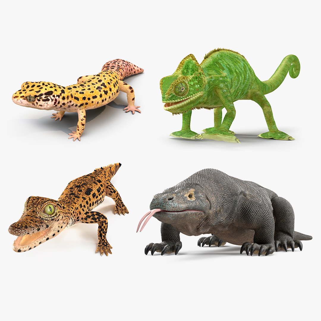 Rigged Reptiles Collection 2 3D model preview