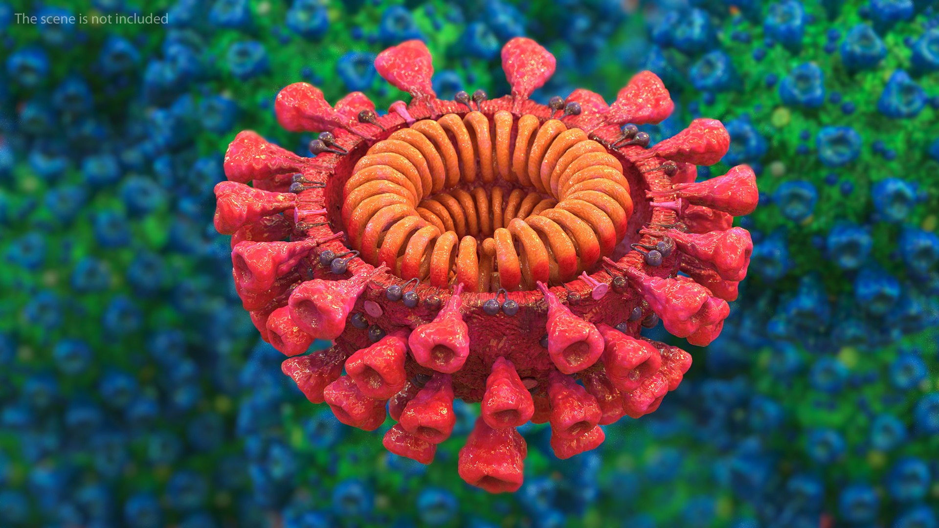 coronavirus 2019 vaccine virus model https://p.turbosquid.com/ts-thumb/tL/zXAeaP/B5MfwKop/coronavirus2019withvaccinecollection3dsmodel021/jpg/1599989221/1920x1080/fit_q87/98d6c0c8c1c78ca46c024ab430b291fc2d6254ba/coronavirus2019withvaccinecollection3dsmodel021.jpg