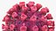 Coronavirus 2019 mit Impfstoffsammlung