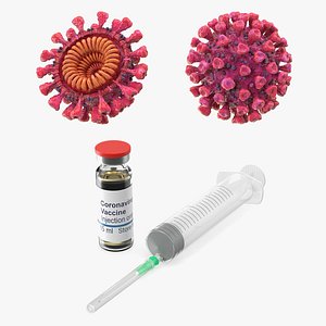 coronavirus 2019 vaccine virus model