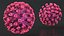 Coronavirus 2019 mit Impfstoffsammlung