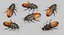 Hisser Blend