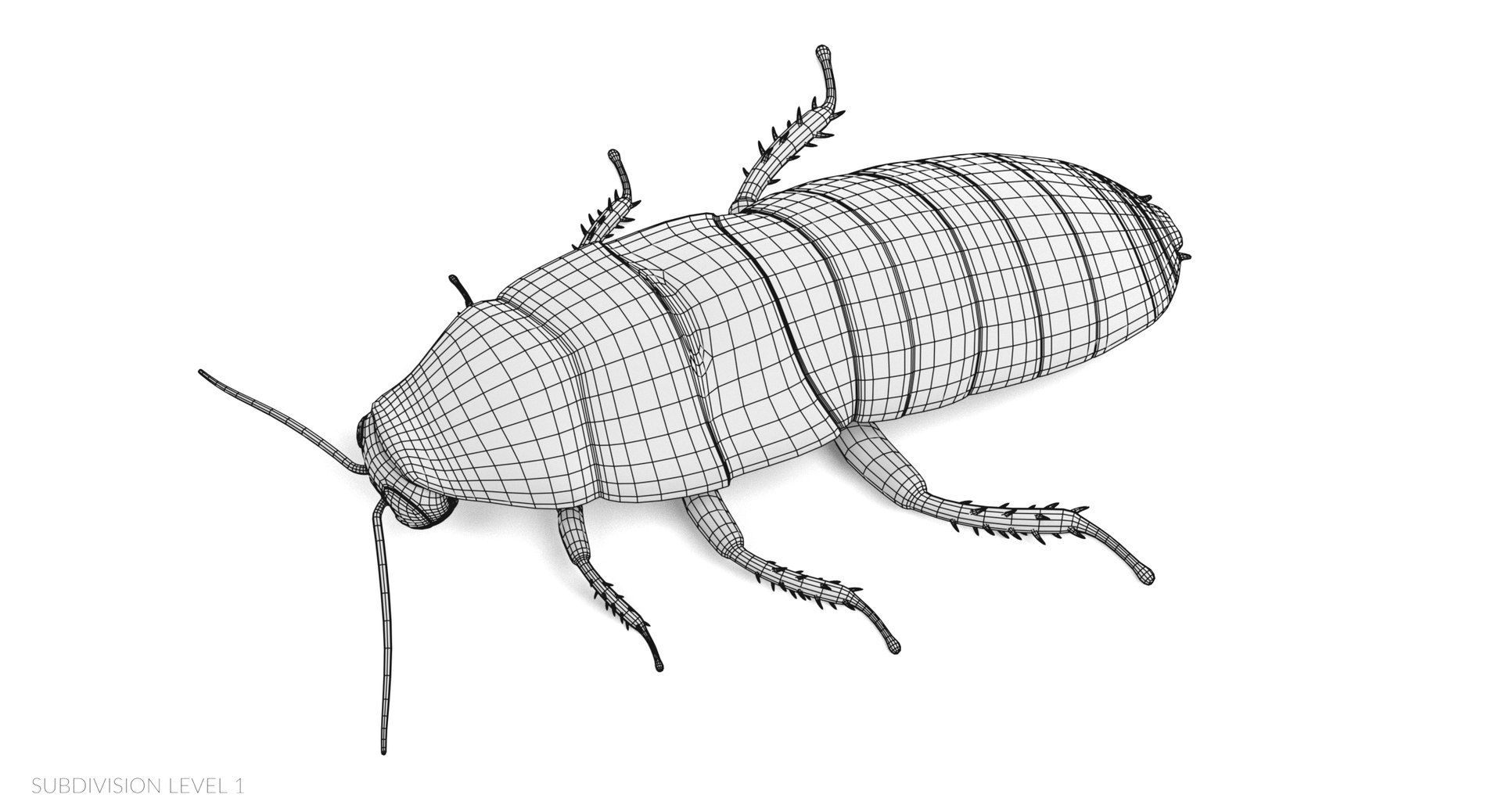 3D hisser hissing cockroach https://p.turbosquid.com/ts-thumb/tM/UlHbzm/7IWwbiRq/hisserw1/png/1541758802/1920x1080/fit_q87/5345cdb8d0a32184f68017d4e81818bd9adb8fa7/hisserw1.jpg