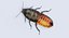 Hisser Blend
