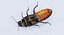 Hisser Blend