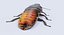 Hisser Blend