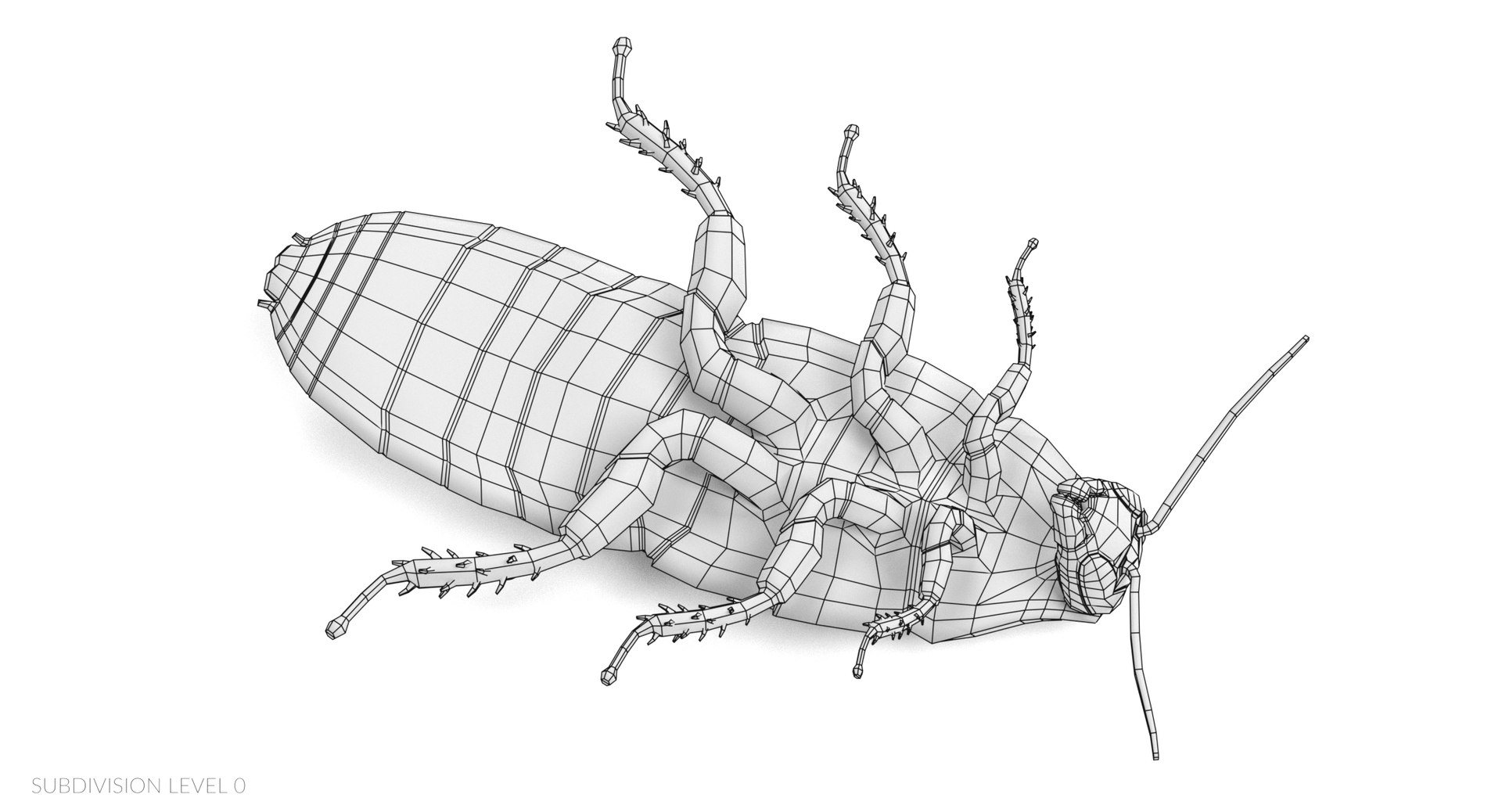 3D hisser hissing cockroach https://p.turbosquid.com/ts-thumb/tM/UlHbzm/yDg4NFlT/hisserw2/png/1541758802/1920x1080/fit_q87/84cec2f96dd532b4c03d76c380b0e07c0fdd5d9a/hisserw2.jpg
