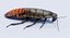 Hisser Blend
