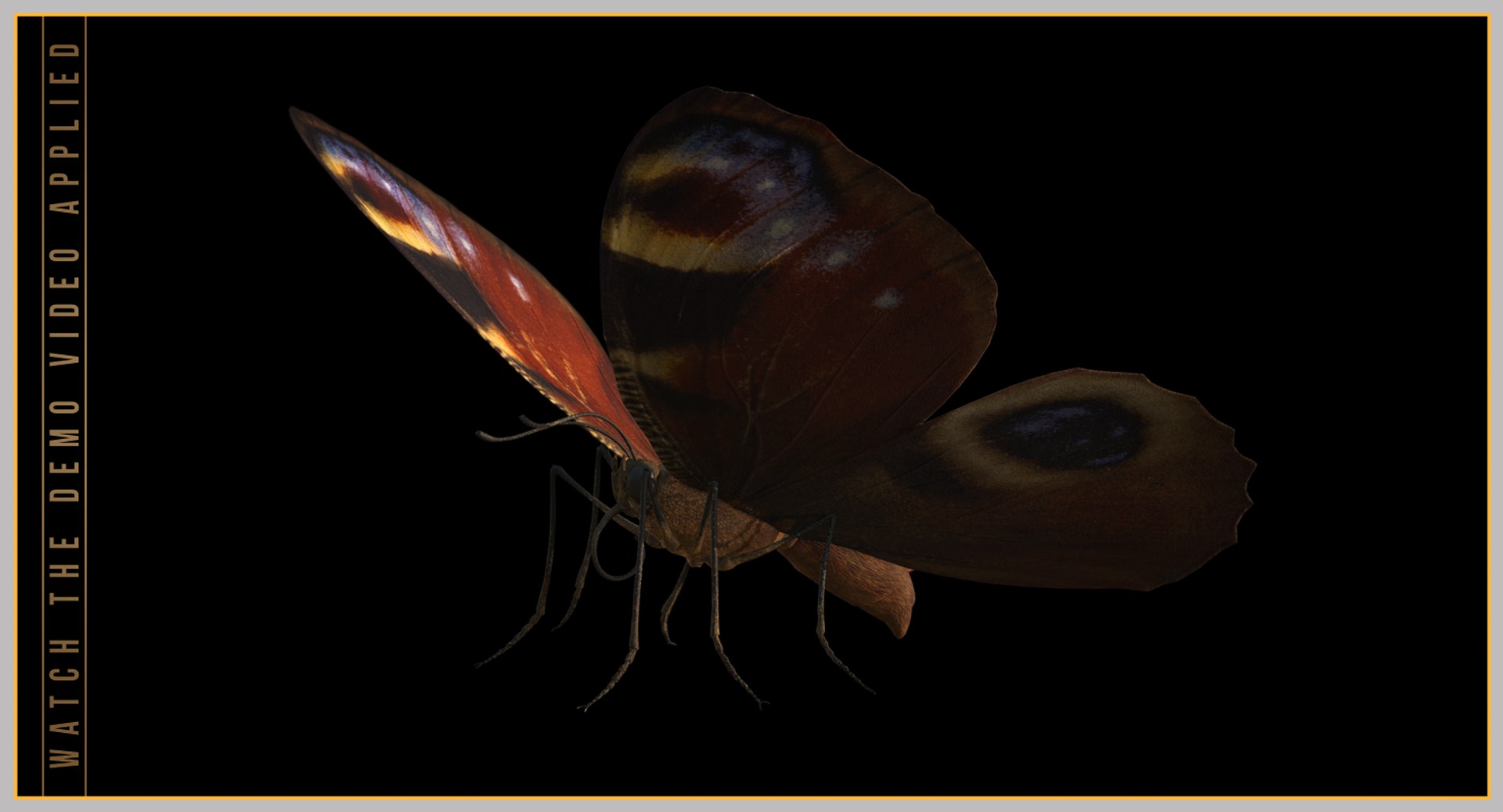 Butterfly Flying Model - TurboSquid 1246205