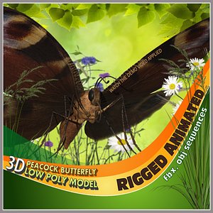 butterfly flying model