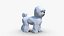 bichon  frise