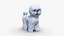 bichon  frise