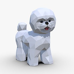 bichon  frise 3D model