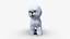 bichon  frise