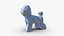 bichon  frise