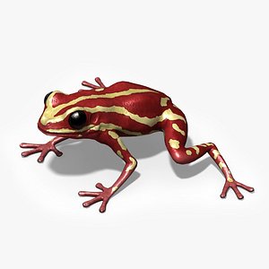 Phantasm Poison Frog